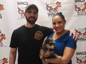 couple decided to adopt a dog WAGS