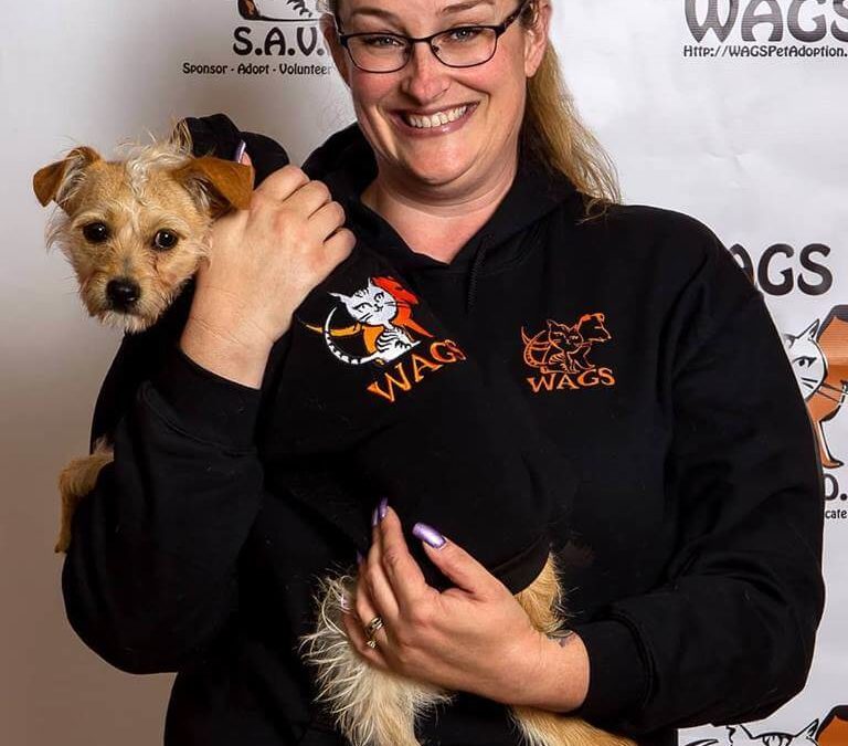 WAGS staff and pet wearing wags merchandise