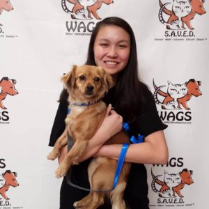 happy girl adopted a dog at wAGS