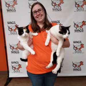 2 lovely fat cat adopted at WAGS