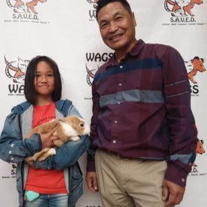 little rabbit adopted now WAGS