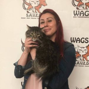 new friend cat adopted at WAGS