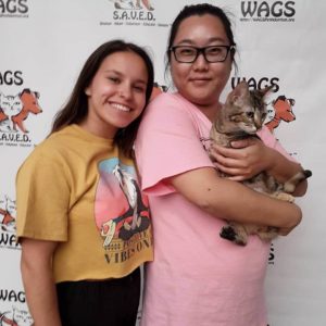 happy kid adopt a cat at WAGS