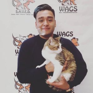 WAGS cat adopt by young guy