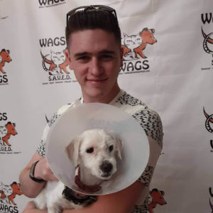 happy guy adopt a dog at WAGS