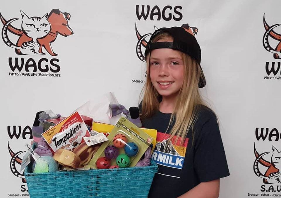 Maddie did a little Fundraiser to get toys and treats for our pets here at WAGS