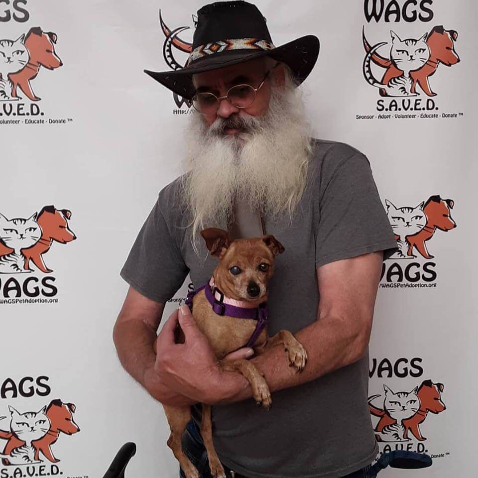 Fairy HAS BEEN ADOPTED WAGS