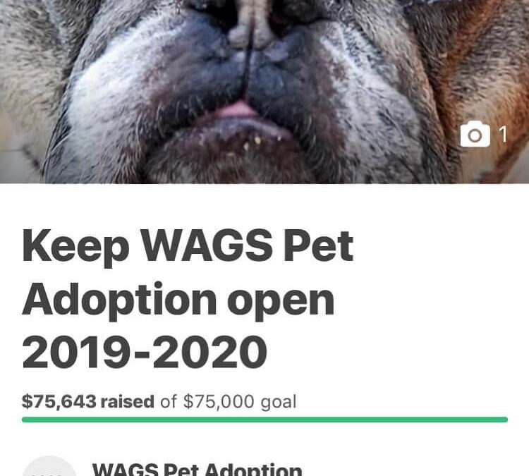 keep wags adoption open
