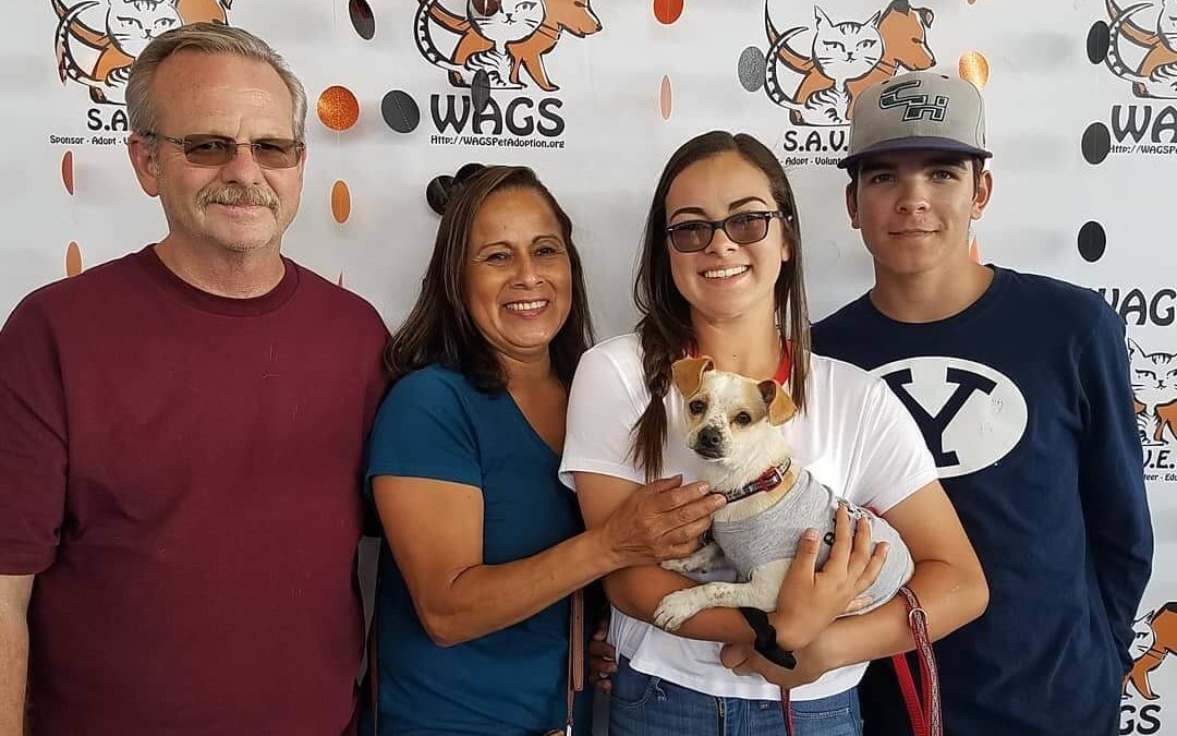 George has been adopted a WAGS Alumni family