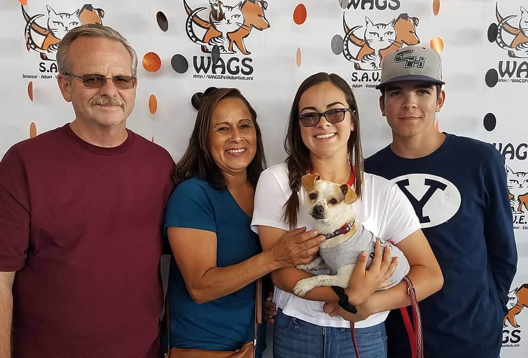 George has been adopted a WAGS Alumni family