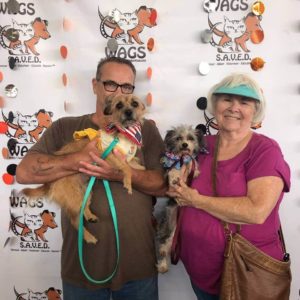elderly couple adopt a dog pet at wags