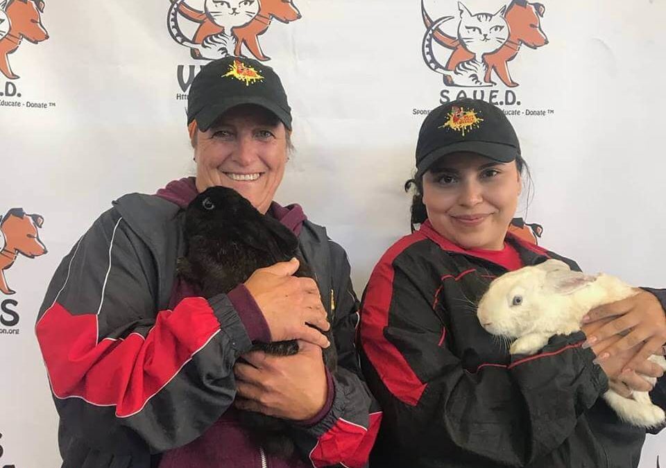 WAGS OFFICIALLY HAS ZERO RABBITS FOR ADOPTION