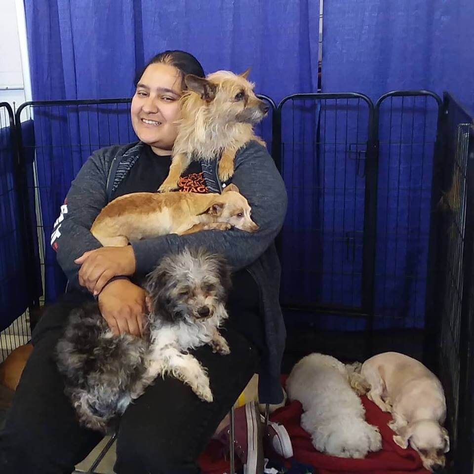 Come Down To Petexpo2019 And Meet All Of Our Adoptables! - Wags Pet ...