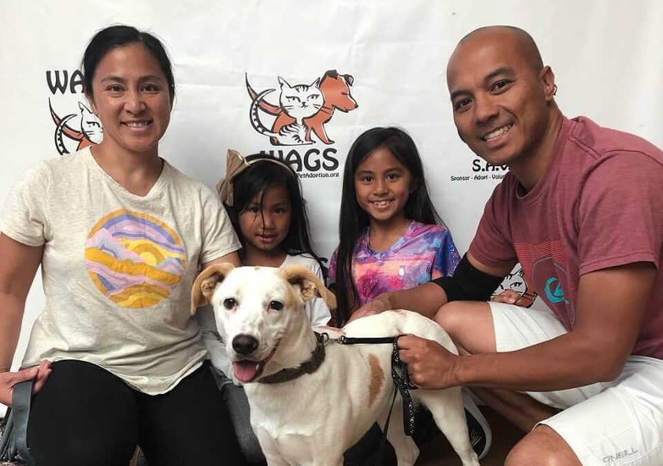Tater was adopted! WAGS