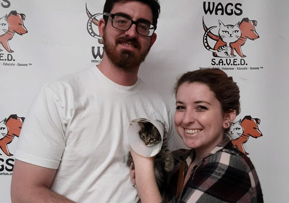 Bell was adopted today! WAGS