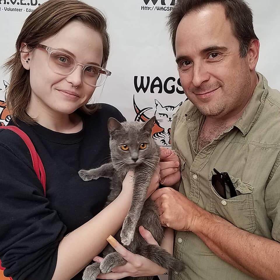 Cat adopated today WAGS