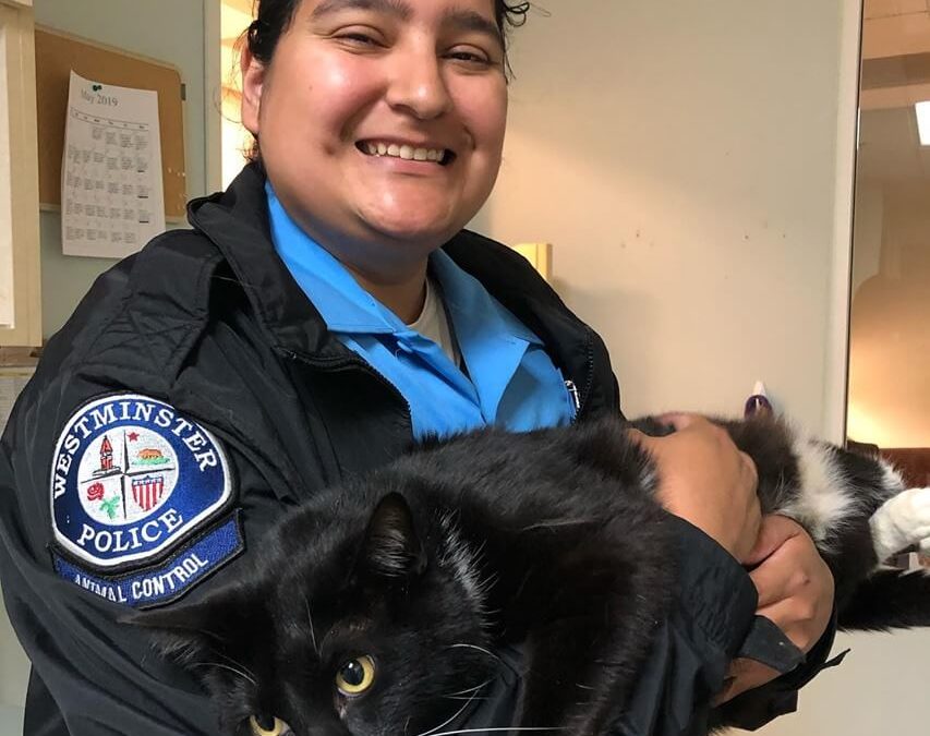 Animal Control Officers love cat WAGS