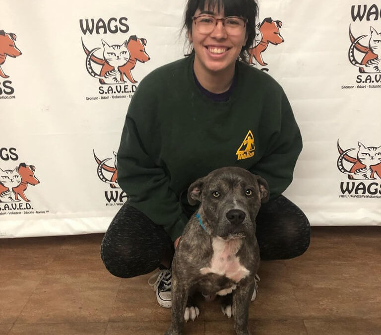 Roo was adopted! WAGS