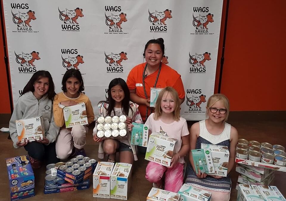 Troop 3186 Donated WAGS 052619