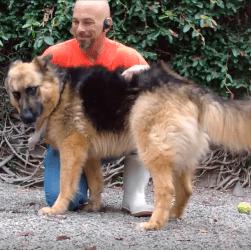 Felix Dog adoptation WAGS