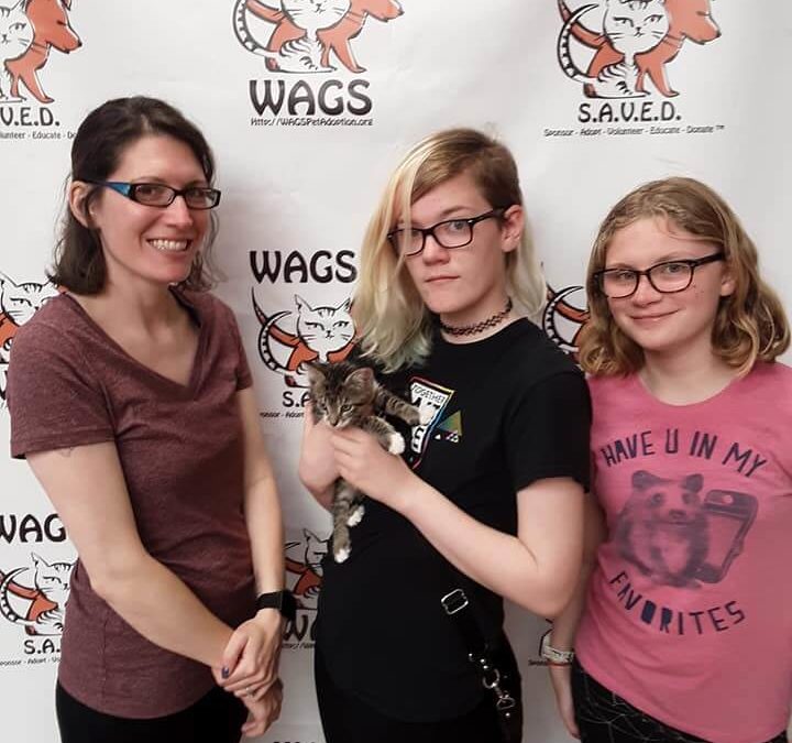 Dogs and cats Adopted WAGS