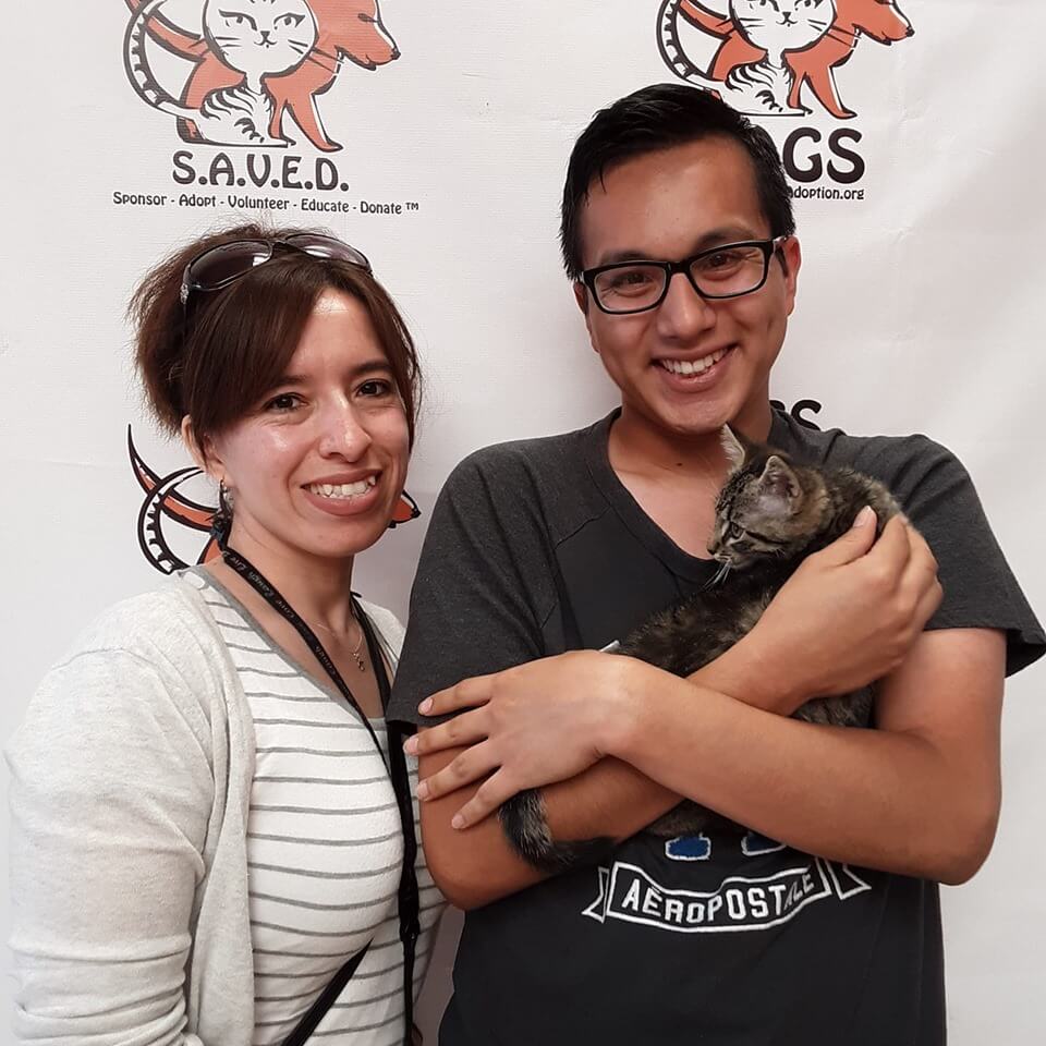 Tritan cat was adopted today! WAGS