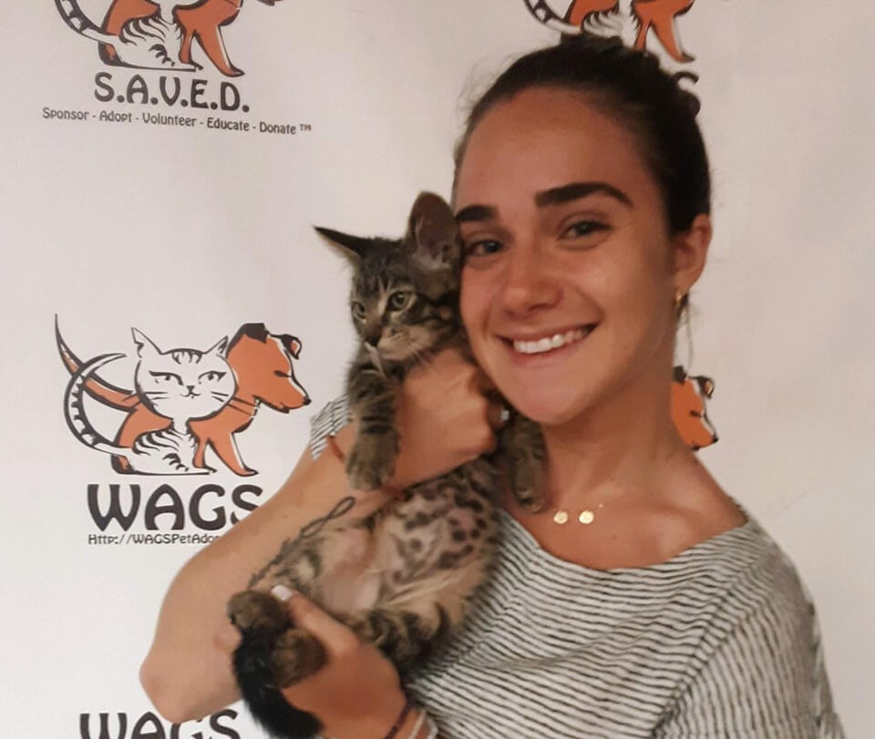 Mamba and Anaconda kitten were adopted WAGS