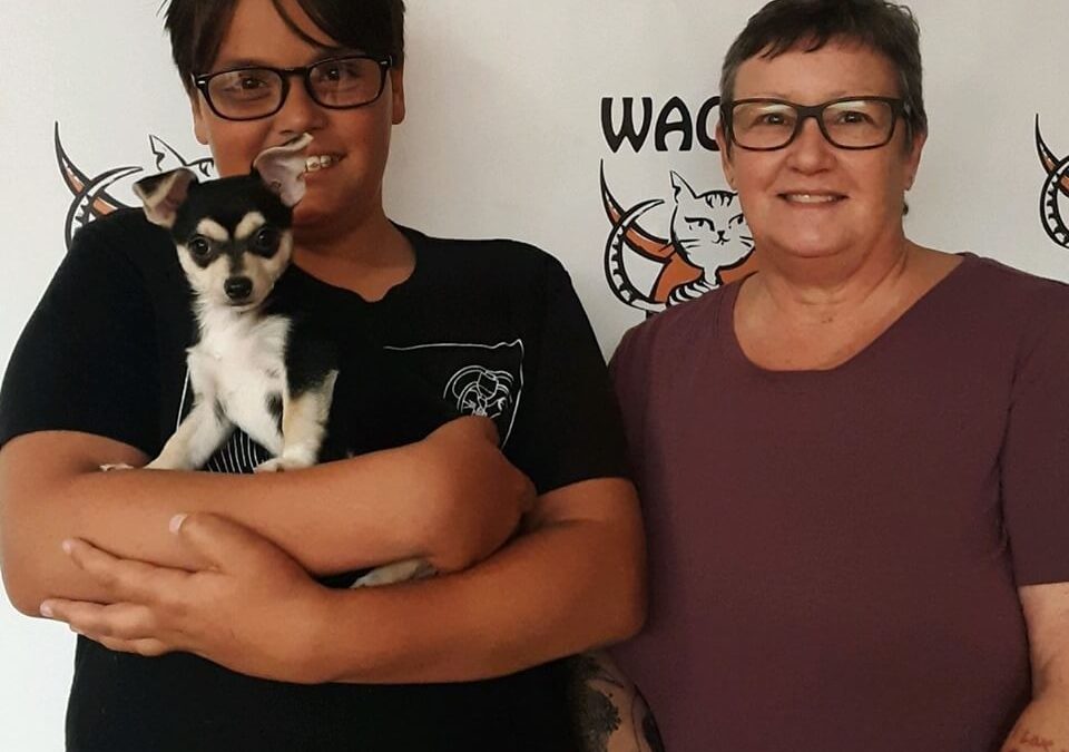 Roz was adopted yesterday WAGS