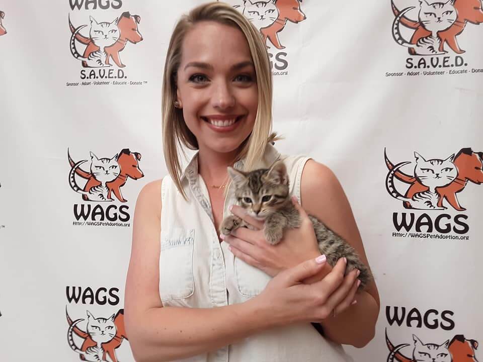 6 kittens adopted WAGS
