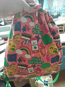 lost and found girl scout bag WAGS