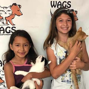 6 adoptions today 07/29/2019 WAGS