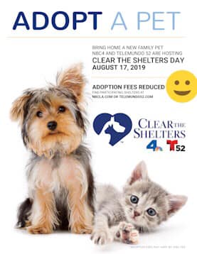 #ClearTheShelters19 !!!! Starting today august 17 2019 WAGS