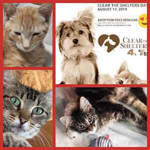 ClearTheShelters on this Saturday WAGS