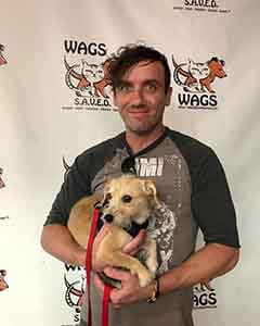 Dog Pygmy was adopted! WAGS