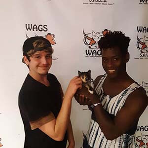 13 pets were adopted today 08172019 WAGS