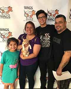Maui found his new family! WAGS