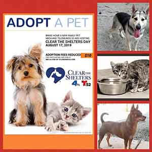 THIS SATURDAY from 10am-6pm is #cleartheshelters WAGS