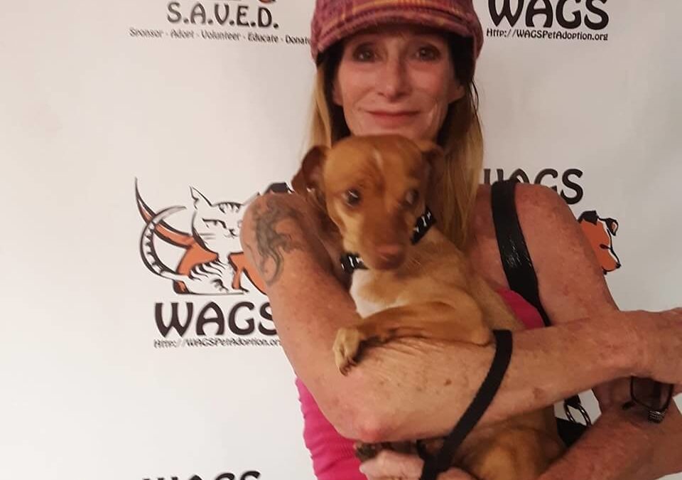 Dog Valencia was adopted 🐕🐾 WAGS