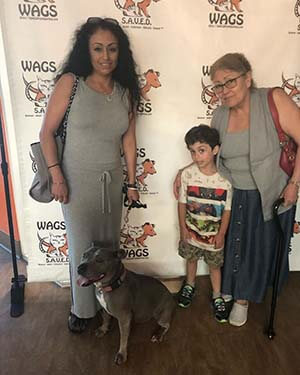 6 pets were find their forever home WAGS