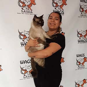 Adult cat Buzzard was adopted today WAGS