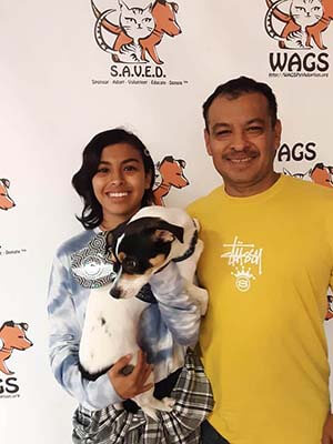 9 pets were adopted 09292019 WAGS