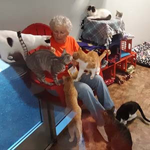Cat Corner just LOVE our long term volunteer, Marlyn! WAGS