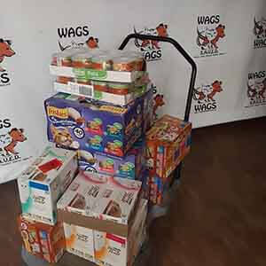 Thank you Ernst and Young in Irvine for donating can cat WAGS