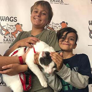 4 Pets were adopted today 09222019 WAGS
