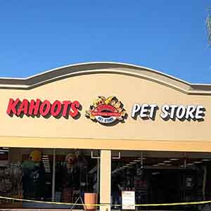 We’re here @kahootsfeedandpet in @5_points_plaza! WAGS