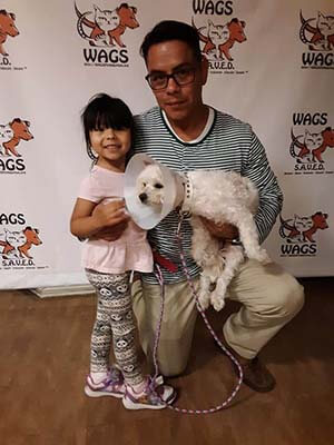 5 Pets were adopted today 11/5/19 WAGS