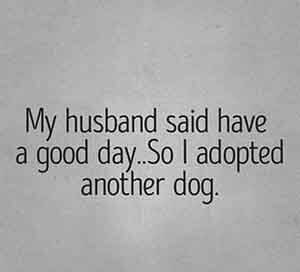 adopt another dog quote