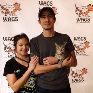couple adopt a kitten at WAGS