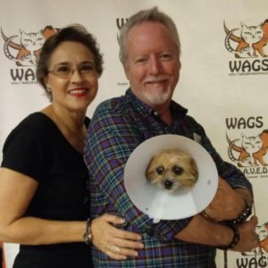 elderly couple adopt dog at wags