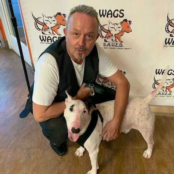 5 Pets was adopted today 11/08/19 WAGS